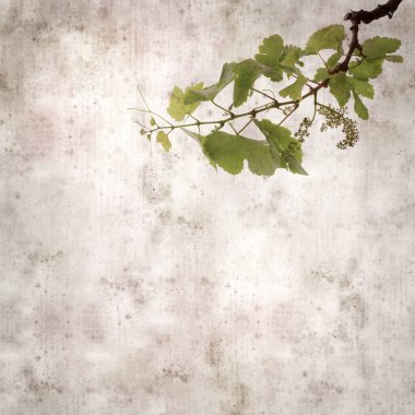 Asma bitkilerinde yeşil yay yaprakları olan eski moda kağıt kaplama kare. 