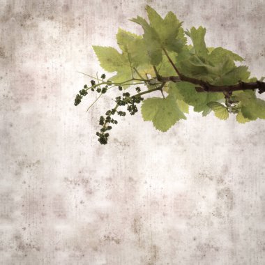 Asma bitkilerinde yeşil yay yaprakları olan eski moda kağıt kaplama kare. 