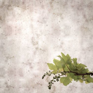 Asma bitkilerinde yeşil yay yaprakları olan eski moda kağıt kaplama kare. 