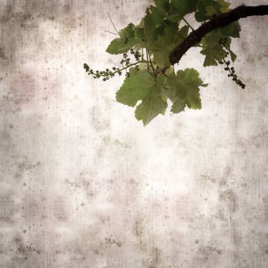 Asma bitkilerinde yeşil yay yaprakları olan eski moda kağıt kaplama kare. 