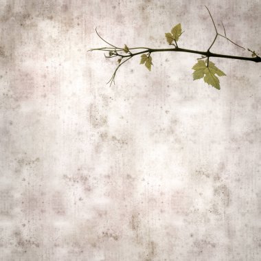 Asma bitkilerinde yeşil yay yaprakları olan eski moda kağıt kaplama kare. 