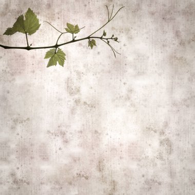 Asma bitkilerinde yeşil yay yaprakları olan eski moda kağıt kaplama kare. 