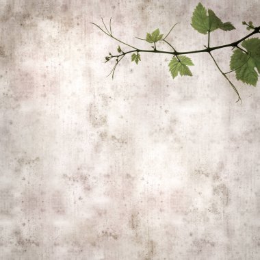 Asma bitkilerinde yeşil yay yaprakları olan eski moda kağıt kaplama kare. 