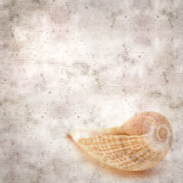 Stijlvolle Textuur Oud Papier Achtergrond Met Grappige Kleine Vogels Gemaakt — Stockfoto