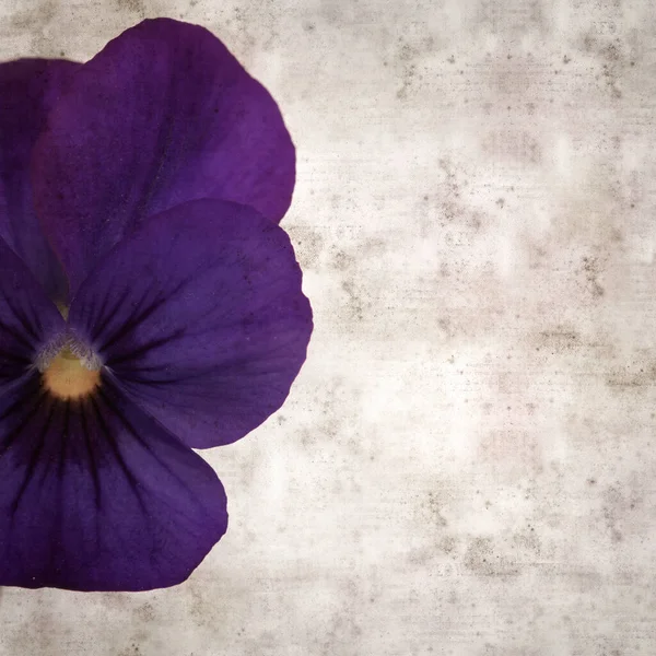 Kare biçiminde eski desenli kağıt arka planda koyu mavi nonoş çiçekleri