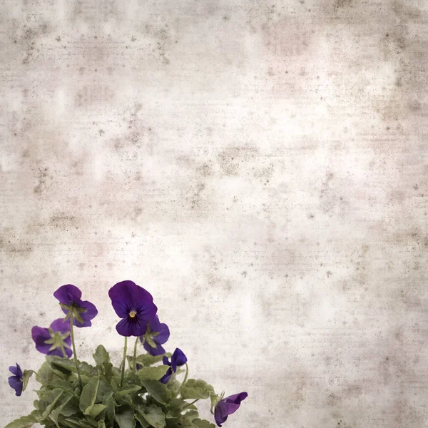 Kare biçiminde eski desenli kağıt arka planda koyu mavi nonoş çiçekleri