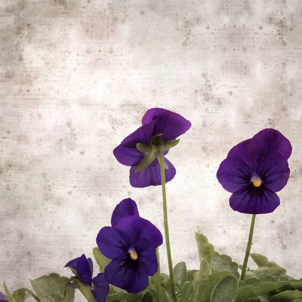 Kare biçiminde eski desenli kağıt arka planda koyu mavi nonoş çiçekleri