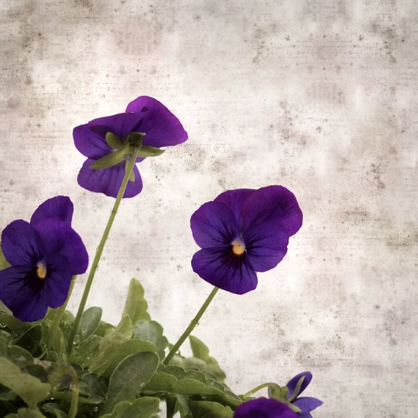 Square Stylish Old Textured Paper Background Dark Blue Pansy Flower — Photo