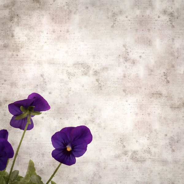 Kare biçiminde eski desenli kağıt arka planda koyu mavi nonoş çiçekleri