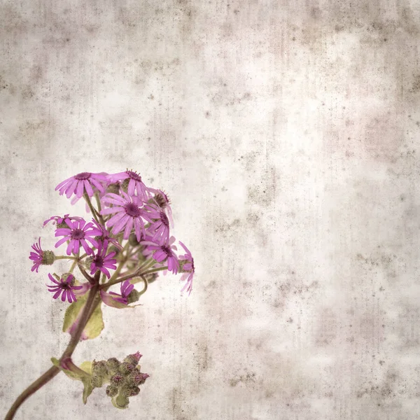 Vierkante Stijlvolle Oude Textuur Papier Achtergrond Met Magenta Bloemen Van — Stockfoto