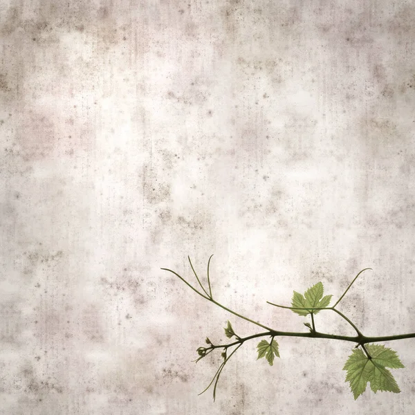 Asma bitkilerinde yeşil yay yaprakları olan eski moda kağıt kaplama kare. 