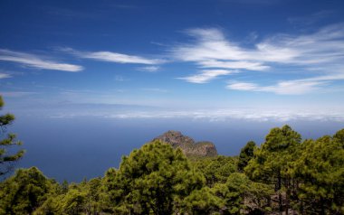 Büyük Kanarya, Doğa Parkı Tamadaba 'daki adanın dağlık kısmının manzarası.