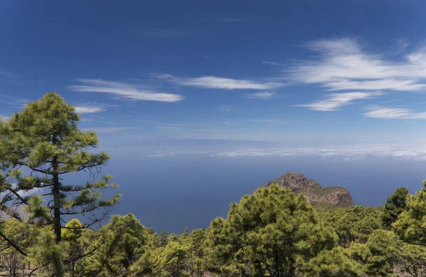 Büyük Kanarya, Doğa Parkı Tamadaba 'daki adanın dağlık kısmının manzarası.