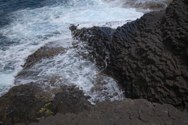 Gran Canaria, north coast, basalt crystal column at El Roque cape, Moya municipality 