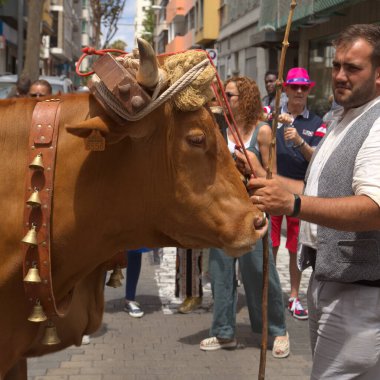 Las Palmas de Gran Canaria, Spain - May 30, 2022: Participants and viewers enjoy romeria, a procession dedicated to annual Day of the Canary Islands