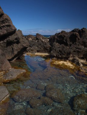 Gran Canaria, Punta de las Arenas Burnu 'ndaki kaya havuzları adanın batı kesiminde, Playa de Artenara olarak da bilinir.
