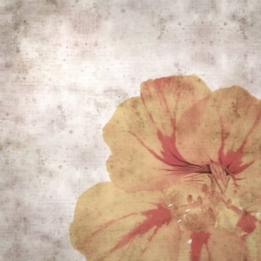 Tropeolum majus, bahçe nasturtiyumu ile eski tarz kağıt kaplama arka plan