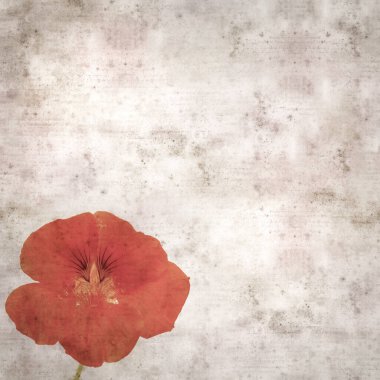 Tropeolum majus, bahçe nasturtiyumu ile eski tarz kağıt kaplama arka plan