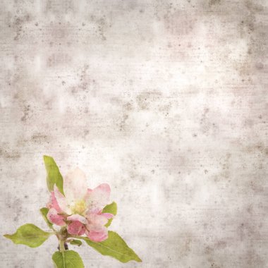 kare biçiminde eski desenli kağıt arkaplan elma çiçekleri ile 