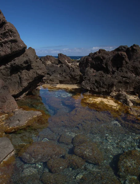 Gran Canaria Rock Pools Punta Las Arenas Cape Західній Частині — стокове фото