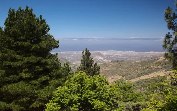 Gran Canaria Route Randonnée Vega San Mateo Municipalité Vue Aérienne — Photo