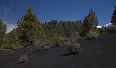 La Palma, uzun menzilli popüler yürüyüş rotası Ruta de Los Volcanes boyunca uzanan manzaralar, El Paso 'dan Fuencaliente belediyelerine kadar adanın tepesi boyunca uzanır. 