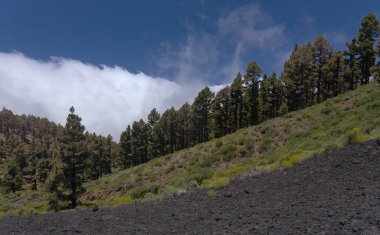 La Palma, uzun menzilli popüler yürüyüş rotası Ruta de Los Volcanes, El Duraznero yanardağının siyah kraterinin çevresindeki manzaralar, 1949 'da oluştu.