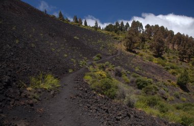La Palma, uzun menzilli popüler yürüyüş rotası Ruta de Los Volcanes boyunca uzanan manzaralar, El Paso 'dan Fuencaliente belediyelerine kadar adanın tepesi boyunca uzanır. 