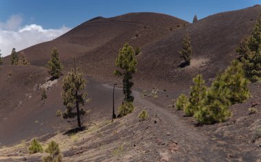 La Palma, uzun menzilli popüler yürüyüş rotası Ruta de Los Volcanes boyunca uzanan manzaralar, El Paso 'dan Fuencaliente belediyelerine kadar adanın tepesi boyunca uzanır. 