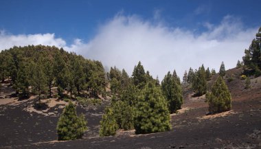 La Palma, uzun menzilli popüler yürüyüş rotası Ruta de Los Volcanes boyunca uzanan manzaralar, El Paso 'dan Fuencaliente belediyelerine kadar adanın tepesi boyunca uzanır. 