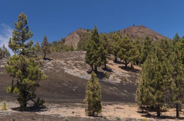 La Palma, uzun menzilli popüler yürüyüş rotası Ruta de Los Volcanes boyunca uzanan manzaralar, El Paso 'dan Fuencaliente belediyelerine kadar adanın tepesi boyunca uzanır. 