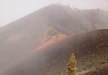La Palma, uzun menzilli popüler yürüyüş rotası Ruta de Los Volcanes boyunca uzanan manzaralar, El Paso 'dan Fuencaliente belediyelerine kadar adanın tepesi boyunca uzanır. 