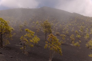 La Palma, uzun menzilli popüler yürüyüş rotası Ruta de Los Volcanes boyunca uzanan manzaralar, El Paso 'dan Fuencaliente belediyelerine kadar adanın tepesi boyunca uzanır. 