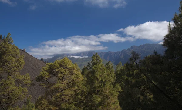 Palma View Highest Area Island Caldera Tabiriente Hiking Path Paso — Photo