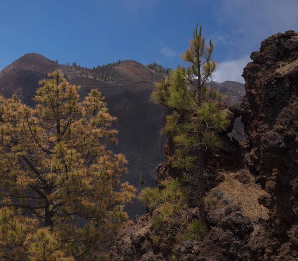 拉帕尔马 Palma 是拉塔 德洛斯火山 Ruta Los Volcanes 的长距离登山路线 它围绕着杜拉齐拉诺火山 Duraznero — 图库照片