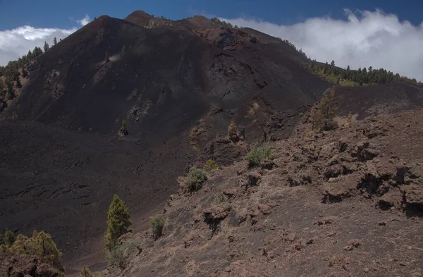 Пальма Популярний Пішохідний Маршрут Ruta Los Volcanes Ландшафти Навколо Чорного — стокове фото