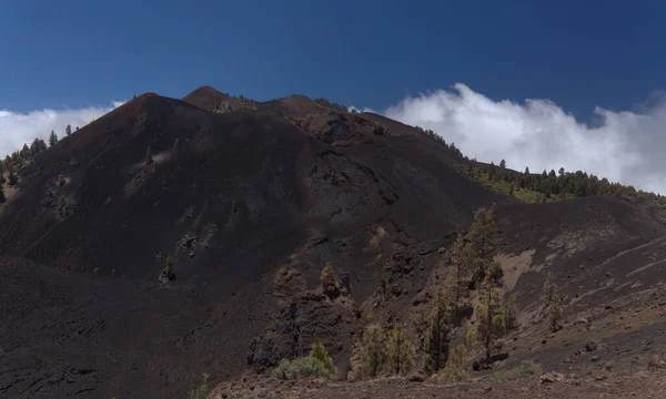 Пальма Популярний Пішохідний Маршрут Ruta Los Volcanes Ландшафти Навколо Чорного — стокове фото