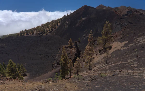 拉帕尔马 Palma 是拉塔 德洛斯火山 Ruta Los Volcanes 的长距离登山路线 它围绕着杜拉齐拉诺火山 Duraznero — 图库照片