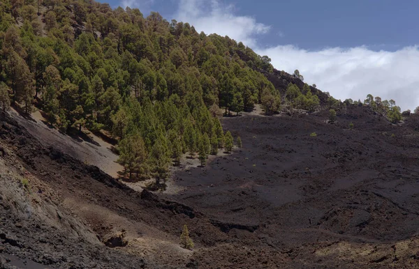 Palma Landskap Längs Den Långväga Populära Vandringsled Ruta Los Volcanes — Stockfoto