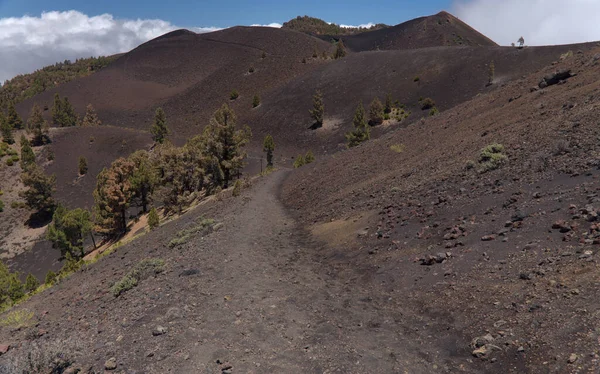 Palma Uzun Menzilli Popüler Yürüyüş Rotası Ruta Los Volcanes Boyunca — Stok fotoğraf