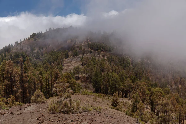 Palma Landschaften Entlang Der Beliebten Fernwanderroute Ruta Los Volcanes Entlang — Stockfoto