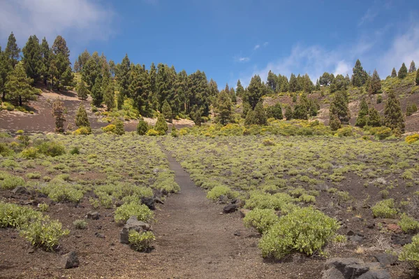 Palma Landschappen Langs Lange Afstand Populaire Wandelroute Ruta Los Volcanes — Stockfoto