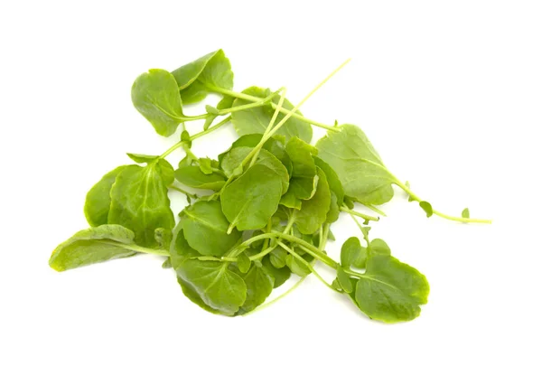 Kleine Groene Bladeren Van Waterkers Salade Geïsoleerd Witte Achtergrond — Stockfoto