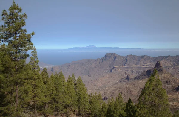 Gran Canaria Táj Központi Része Sziget Las Cumbres Azaz Csúcsok — Stock Fotó