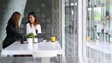 İki başarılı iş kadını ofiste yeni proje planlaması için tartışıyor.