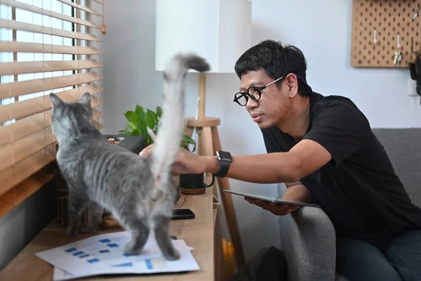 Fiatalember Pihentető Inlacing Szoba Játszik Macskájával — Stock Fotó
