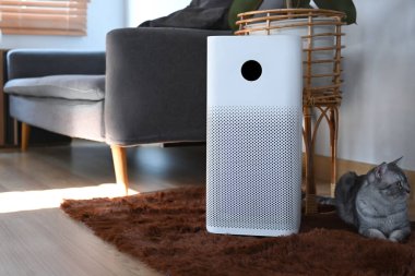 Dijital monitör ekranlı beyaz hava temizleyicisi ve oturma odasında sevimli bir kedi. Hava Kirliliği Konsepti.