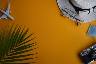 Şapka, kamera, gözlük ve sarı arka planda yeşil yapraklı tropikal palmiye. Seyahat, yaz ve tatil konsepti.