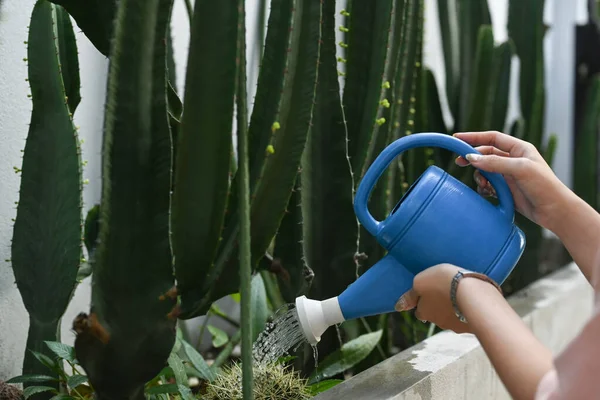 Wanita Muda Menyirami Tanaman Dari Kaleng Air Kebun — Stok Foto