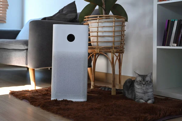 Oturma odasında yerde dijital monitör ekranı olan şirin kedi ve hava temizleyicisi. Hava Kirliliği Konsepti.